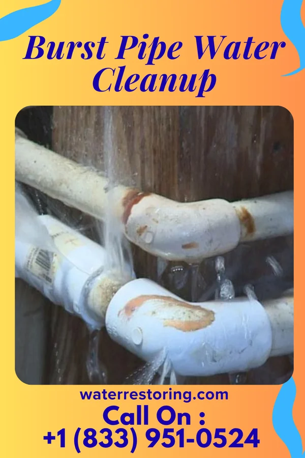 Burst Pipe Water Cleanup in Lenox, IA