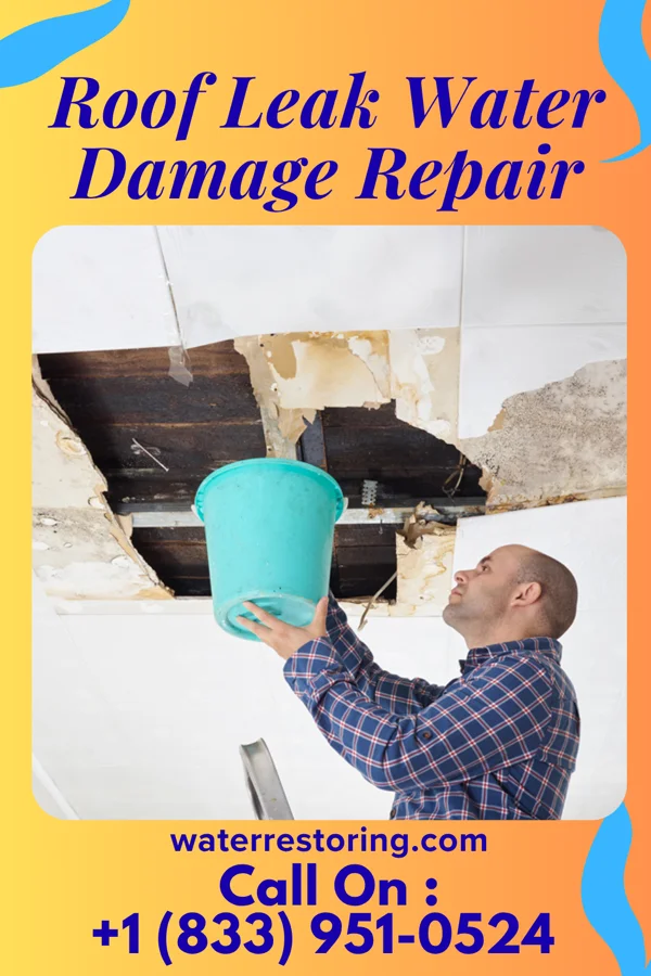 Roof Leak Water Damage Repair in Lenox, IA