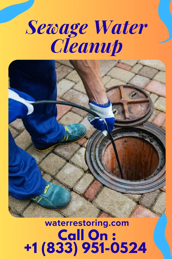 Sewage Water Cleanup in Lenox, IA